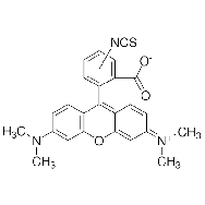 四甲基<em>罗丹明</em>-5(6)-异硫氰酸酯