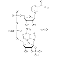 三磷酸吡啶核苷酸 钠盐 水合物