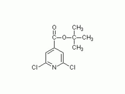 2,6-二氯异烟酸叔丁酯
