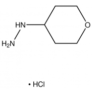 (<em>Tetrahydro</em>-pyran-4-yl)-hydrazine <em>hydrochloride</em>
