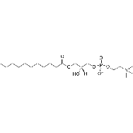 <em>1-undecanoyl-2-hydroxy-sn-glycero-3</em>-phosphocholine
