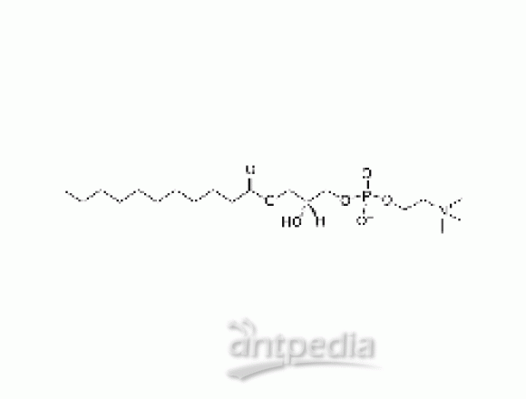 1-undecanoyl-2-hydroxy-sn-glycero-3-phosphocholine