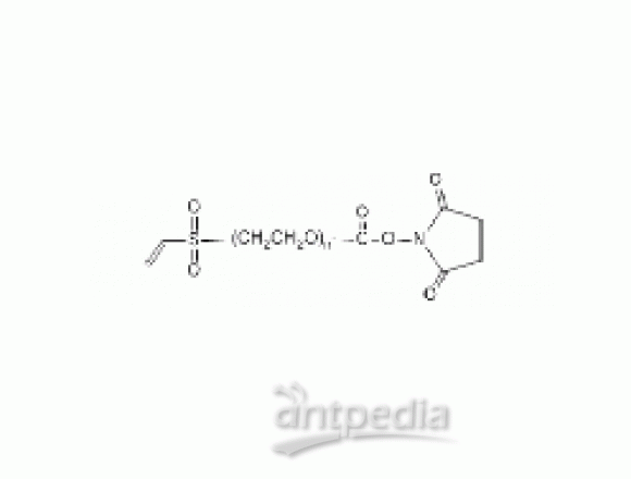 乙烯砜 PEG N-羟基琥珀酰亚胺, VS-PEG-NHS