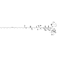 (9Z-octadecenoyl) <em>Coenzyme</em> A (<em>ammonium</em> <em>salt</em>)