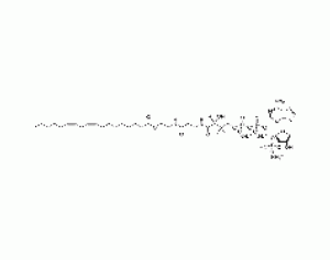 (9Z,12Z-octadecadienoyl) Coenzyme A (ammonium salt)