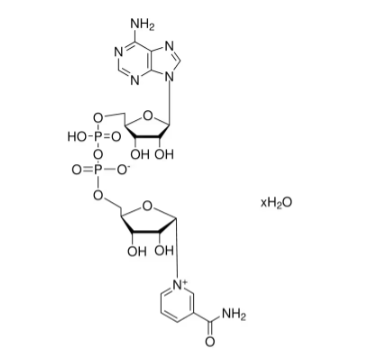 β-烟酰胺腺嘌呤二核苷酸 水合物，53-84-9，适用于细胞培养，≥96.5%（HPLC），≥96.5%（分光光度法），来自酵母