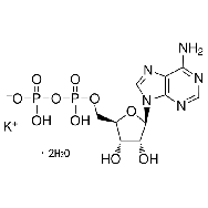 腺苷-5'-<em>二</em>磷酸单<em>钾盐</em><em>二</em>水合物