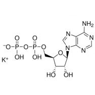 <em>腺苷</em> 5′-<em>二</em>磷酸 单钾盐 <em>二</em>水合物