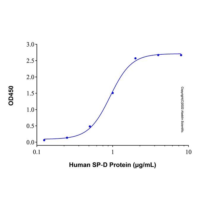 Recombinant Human SIRP beta 1/CD172<em>b</em> Protein，ActiBioPure™, Bioactive, Animal