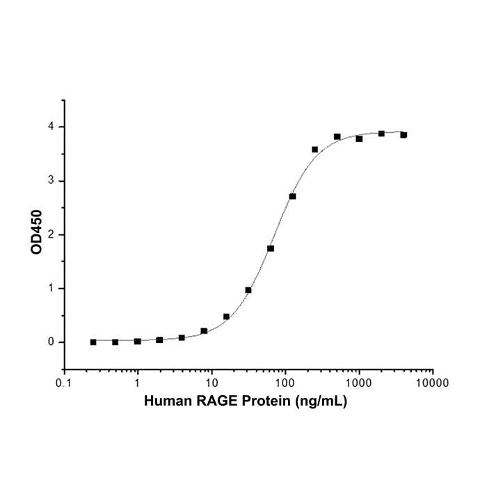Recombinant Human RAGE Protein，ActiBioPure™, Bioactive, Animal Free, Carrier Free, Azide Free, ≥90%(<em>SDS</em>-PAGE)