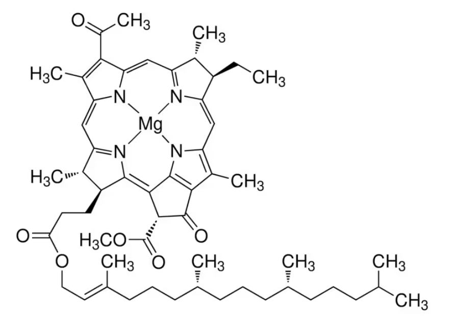 菌<em>叶绿素</em> 来源于球形红假单胞菌，17499-98-8，95%