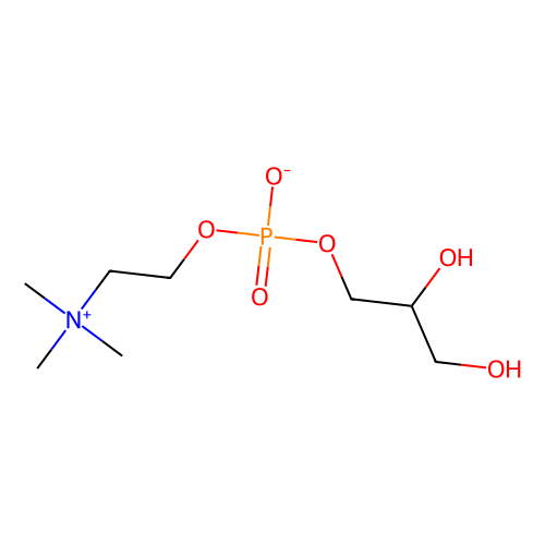甘油磷酸胆碱，28319-77-9，10mM in Water