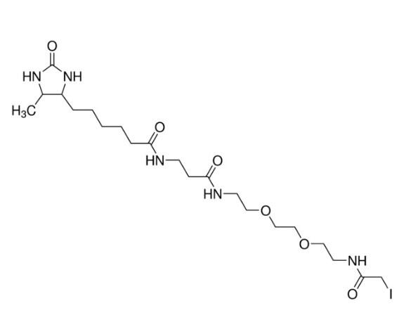 脱硫<em>生物素</em>聚氧化乙烯<em>碘</em>乙酰胺，≥90%