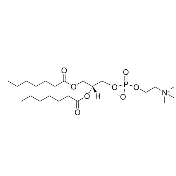 1,2-二庚酰-Sn-甘油-3-磷酰胆碱，39036-04-9，>99