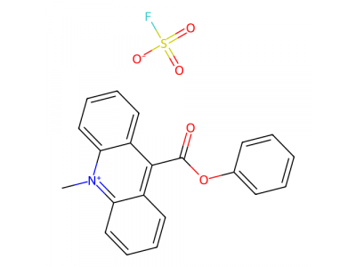 10-甲基-9-(苯氧羰基)丫啶鎓氟硫酸盐，149300-54-9，98%