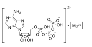 腺苷 <em>5</em>'-三磷酸镁盐，74804-<em>12</em>-9，95%