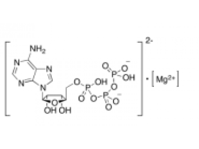 腺苷 5'-三磷酸镁盐，74804-12-9，95%