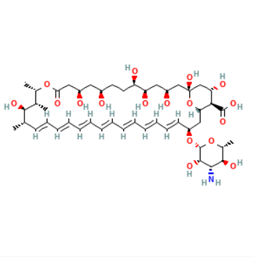 两性霉素<em>B</em>，1397-89-3，无动物源, 低内毒素, ≥750 μg/mg,用于细胞培养(培养基原料)