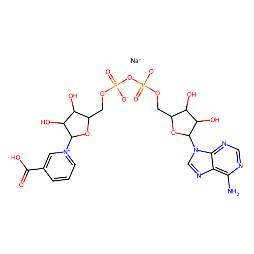 烟酸<em>腺</em><em>嘌呤</em>二核苷酸钠盐，104809-30-5，≥98%