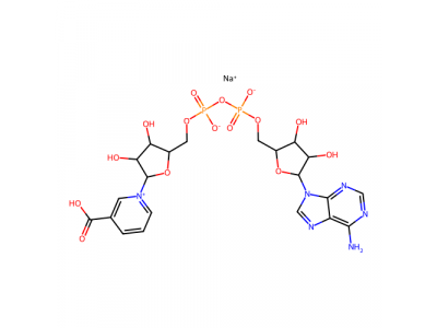 烟酸腺嘌呤二核苷酸钠盐，104809-30-5，≥98%