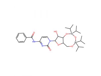 N4-苄基-3'，5'-O-（1,1,3,3-四异丙基-1,3-二硅氧烷二基）胞苷，69304-43-4，97%