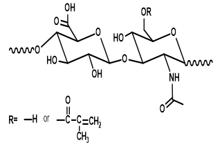 甲基丙烯酰化<em>透明质</em>酸，分子量150kDa，MA化程度30%-40%