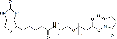 (+)-<em>生物素</em>-PEG24-NHS酯，365441-71-0，95%