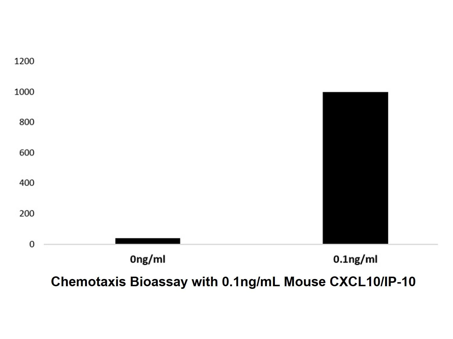 Recombinant Mouse <em>CXCL10</em>/<em>IP-10</em> Protein，ActiBioPure™, Bioactive, Animal Free