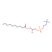 1-癸酰基-2-羟基-<em>sn</em>-甘油-3-磷酸胆碱，22248-<em>63</em>-1，98%