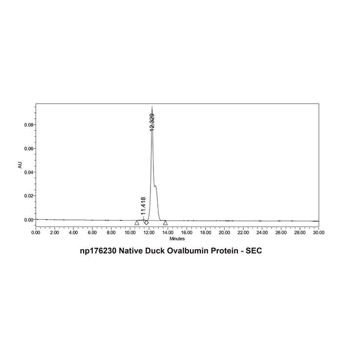 Native Duck Ovalbumin Protein，Carrier Free, Azide Free, ≥95%(SDS-PAGE&HPLC