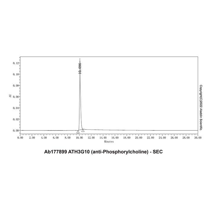 <em>ATH3G10</em> (anti-Phosphorylcholine)，ExactAb™, Validated, Carrier Free, Low