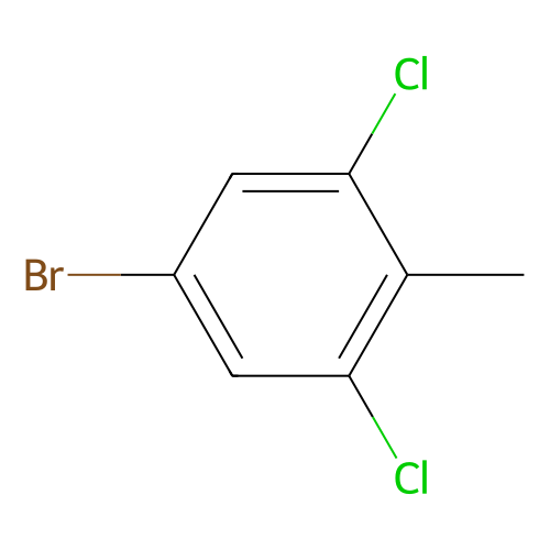 5-溴-1,3-二氯-2-甲基苯，204930-37-0，98