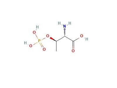 O-磷酸- L -苏氨酸，1114-81-4，95%