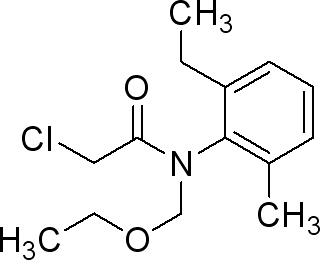 乙草胺<em>标准溶液</em>，34256-82-1，<em>analytical</em> <em>standard</em>,<em>10ug</em>/<em>ml</em> in <em>acetone</em>