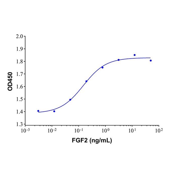 Recombinant <em>Human</em> <em>FGF</em> <em>basic</em>/<em>FGF</em>2/<em>bFGF</em> <em>Protein</em>，62031-54-3，ActiBioPure