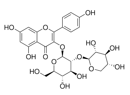 白果苷，27661-51-4，98