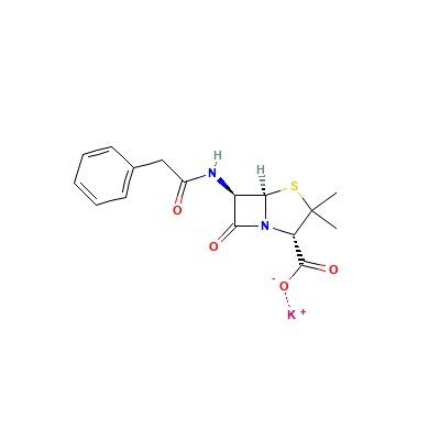 青霉素 G 钾盐，113-98-4，<em>粉末</em>，生物制剂，<em>适用于</em>细胞培养