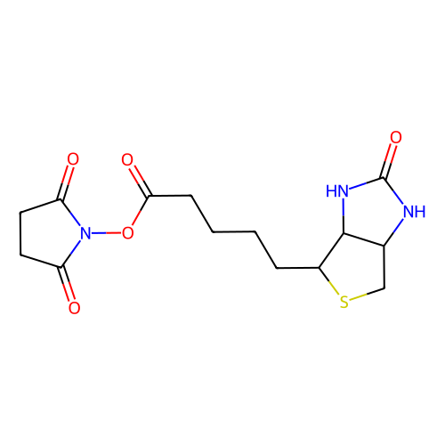 D-生物素 <em>N</em>-羟基<em>琥珀</em><em>酰</em>亚胺<em>酯</em>，35013-72-0，98%