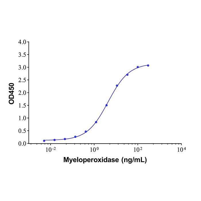 Myeloperoxidase <em>Mouse</em> <em>mAb</em>，ExactAb™, Validated, Carrier Free, Azide Free, Lot by Lot