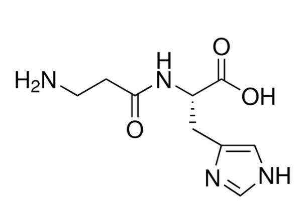 <em>L</em>-<em>肌肽</em>，305-84-0，98%
