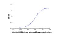 Myeloperoxidase Mouse mAb，ExactAb™, Validated, Carrier Free, Azide Free, Lot by Lot