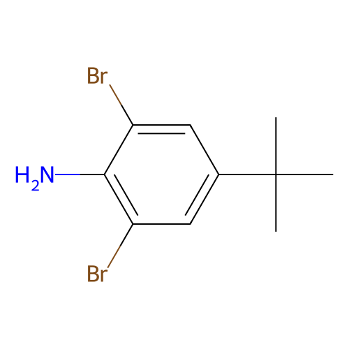 2,6-二溴-<em>4</em>-叔丁基苯胺，10546-67-5，98%