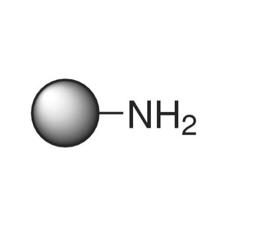 氨基甲基聚苯乙烯树脂，0.5~1.5mmol/g, 100~200 mesh,1% DVB
