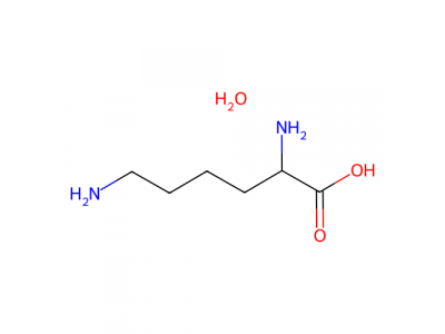 L-赖氨酸一水合物，39665-12-8，生物制剂,适用于细胞培养,来自非动物来源