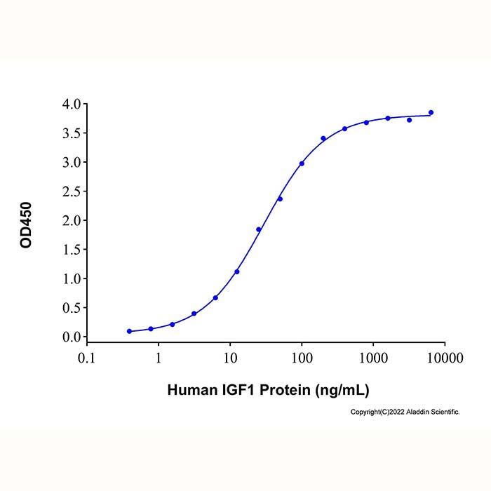 Recombinant Human IGFBP2 Protein，ActiBioPure™, Bioactive, Animal <em>Free</em>, Carrier <em>Free</em>, Azide <em>Free</em>, ≥95%(SDS-PAGE)