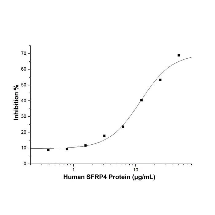 Recombinant Human SFRP4 Protein，ActiBioPure™, Bioactive, Animal <em>Free</em>, Carrier