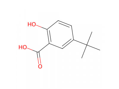 2-羟基-5-叔丁基苯甲酸，16094-31-8，97%