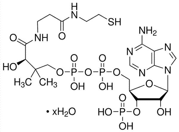 辅酶A水合物(游离酸)，85-<em>61-0</em>，≥85% (HPLC)