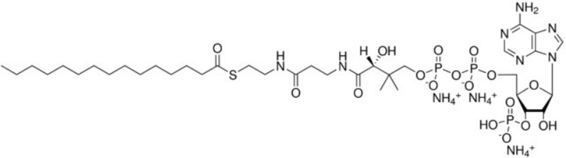 <em>十五</em><em>烷</em>酰辅酶A（铵盐），24870-39-1，99%