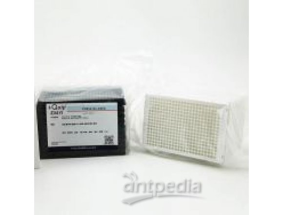 P3853 384孔PCR板